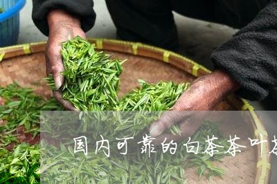 国内可靠的白茶茶叶茶馆/2023101613926