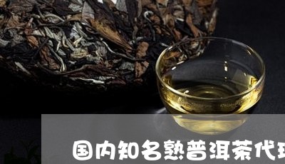 国内知名熟普洱茶代理商/2023110506240