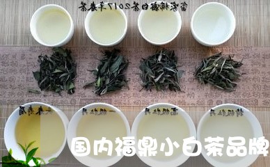 国内福鼎小白茶品牌/2023071755048