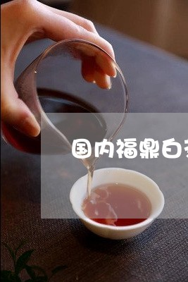 国内福鼎白茶招商加盟店/2023101672905