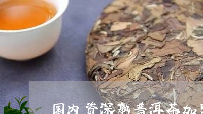 国内资深熟普洱茶加盟/2023092548361