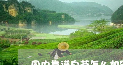 国内靠谱白茶怎么加盟/2023092855369