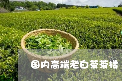 国内高端老白茶茶楼/2023121850471