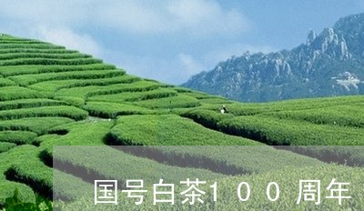 国号白茶100周年/2023071358582