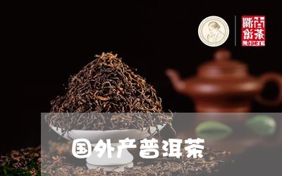 国外产普洱茶/2023042896896