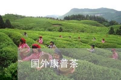 国外康普茶/2023090232693