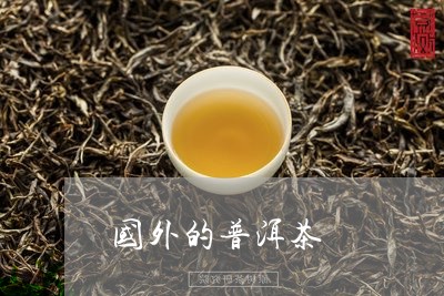 国外的普洱茶/2023042961755