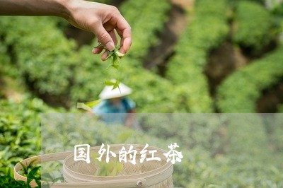 国外的红茶/2023110926837