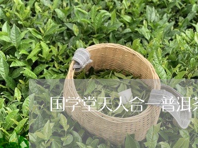 国学堂天人合一普洱茶/2023061841684