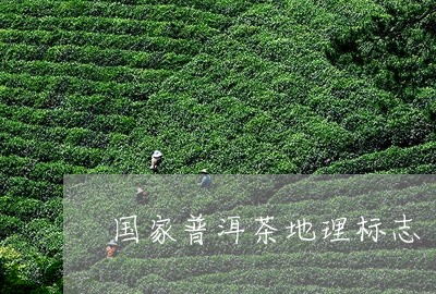 国家普洱茶地理标志/2023091330694