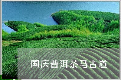 国庆普洱茶马古道/2023110970606