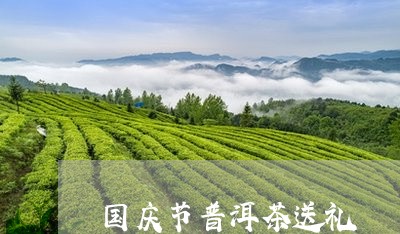 国庆节普洱茶送礼/2023082917270