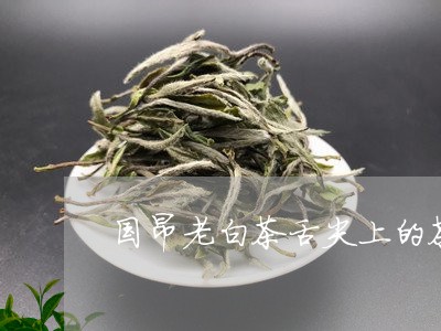 国昂老白茶舌尖上的茶/2023082530481