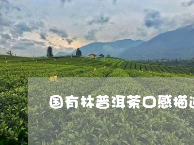 国有林普洱茶口感描述/2023100679805