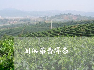 国汉茶普洱茶/2023042906263