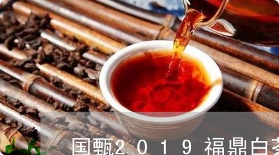 国甄2019福鼎白茶/2023062940624