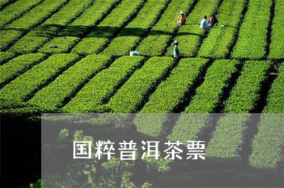 国粹普洱茶票/2023042975536