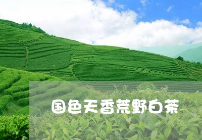 国色天香荒野白茶/2023061688593