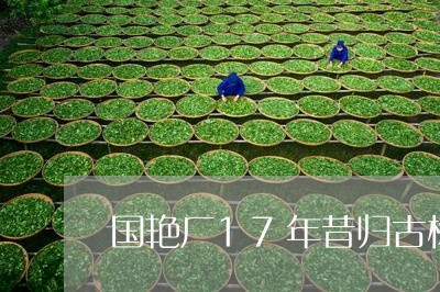 国艳厂17年昔归古树圆茶/2023051226493