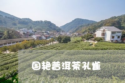 国艳普洱茶孔雀/2023081808592