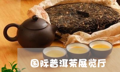 国际普洱茶展览厅/2023112610814