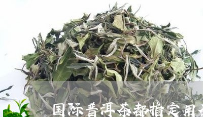 国际普洱茶都指定用茶/2023062941683