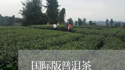 国际版普洱茶/2023102567161