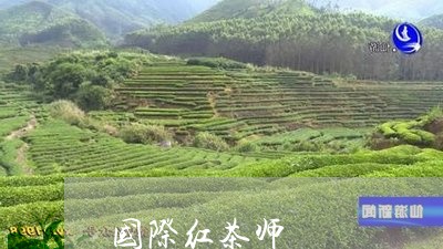 国际红茶师/2023090244826