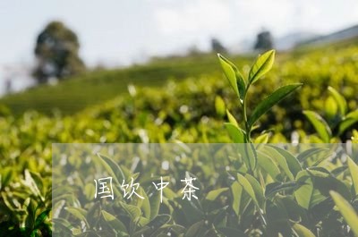 国饮中茶/2023090161847