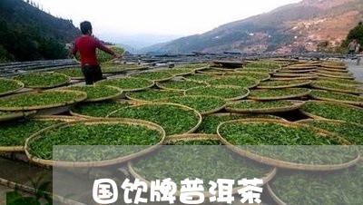 国饮牌普洱茶/2023101622628