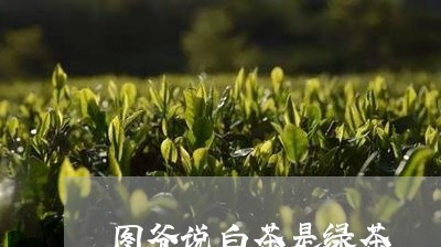 图爷说白茶是绿茶/2023061604926