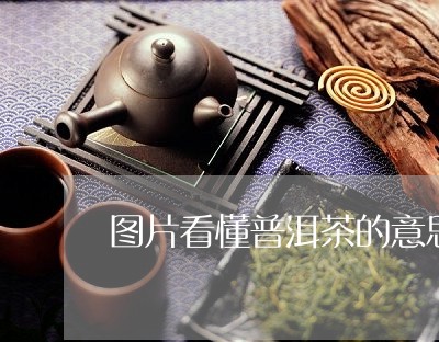 图片看懂普洱茶的意思是/2023102427450