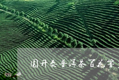 圆升泰普洱茶百花箐多少钱/2023051142926