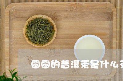 圆圆的普洱茶是什么茶/2023082760461