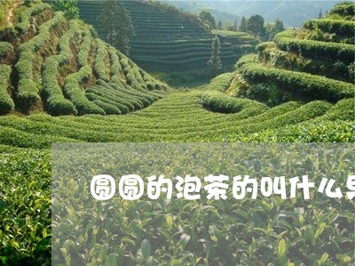 圆圆的泡茶的叫什么果/2023092070613