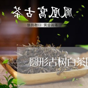 圆形古树白茶图片/2023061629573