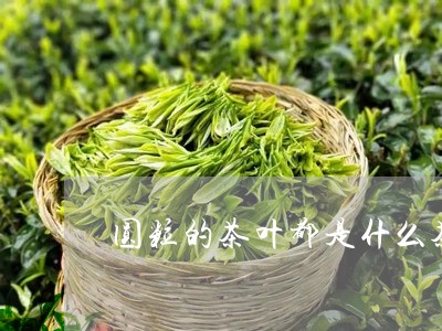 圆粒的茶叶都是什么茶/2023092289172