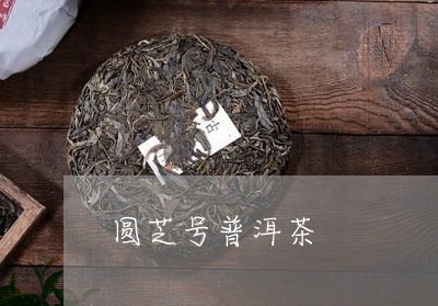 圆芝号普洱茶/2023042924505