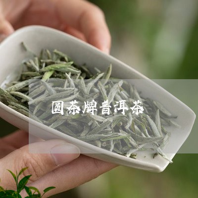 圆茶牌普洱茶/2023042871576