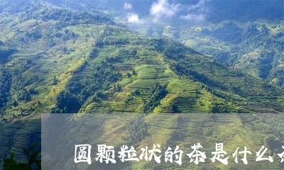 圆颗粒状的茶是什么茶/2023071304634