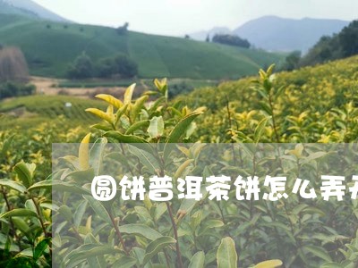 圆饼普洱茶饼怎么弄开/2023092759794