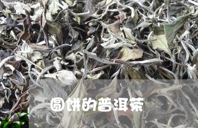 圆饼的普洱茶/2023042622608