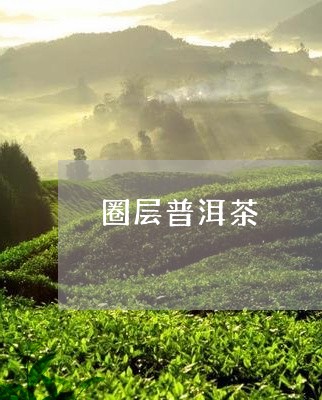 圈层普洱茶/2023090595936