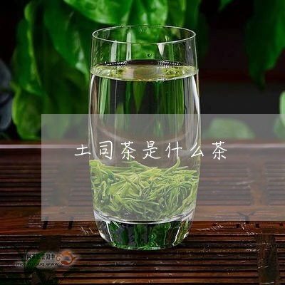 土司茶是什么茶/2023042922418