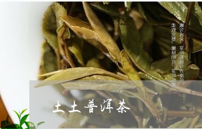 土土普洱茶/2023082626381