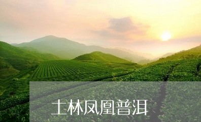 土林凤凰普洱/2023090704940