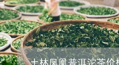 土林凤凰普洱沱茶价格/2023092424835