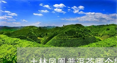 土林凤凰普洱茶哪个好喝/2023110308179