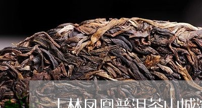 土林凤凰普洱茶山城沱茶怎么样/2023053018150