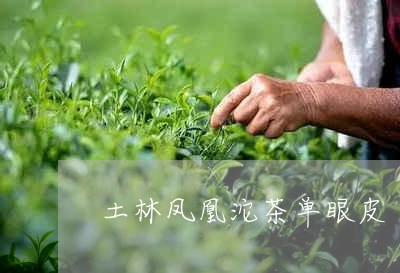 土林凤凰沱茶单眼皮/2023042362586